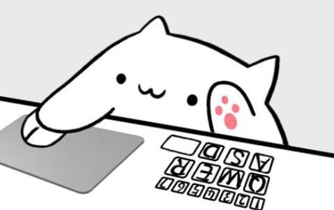 bongo cat appͼ