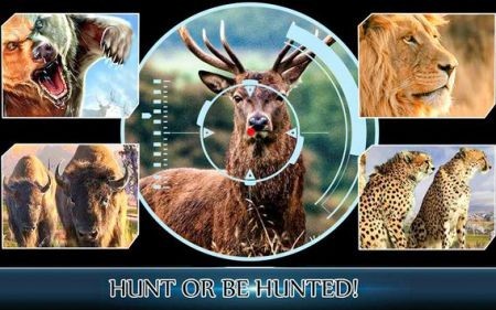 ģ İ棨The Hunter Simulatorͼ