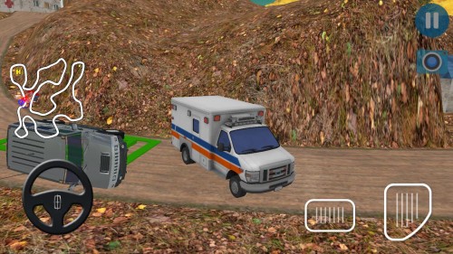 3DԱԮ °棨Heli Ambulance Simulator 2020: 3D Flying car gamesͼ